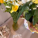 Bed and Breakfast Aden Salento