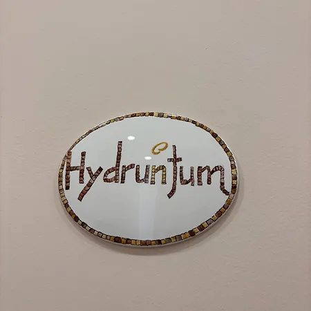 Aden Salento לינה וארוחת בוקר