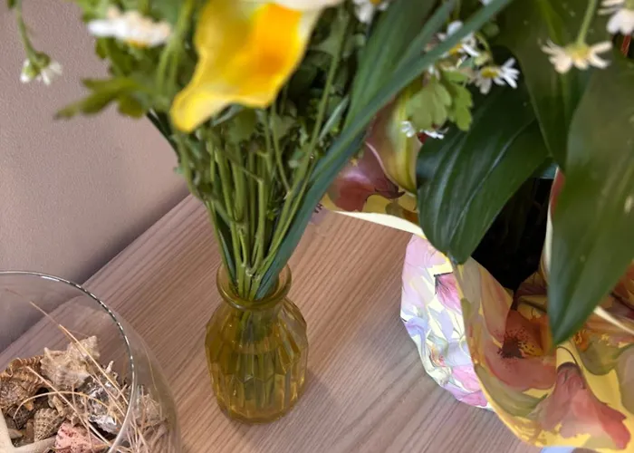 לינה וארוחת בוקר Aden Salento