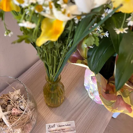 Bed and breakfast Aden Salento